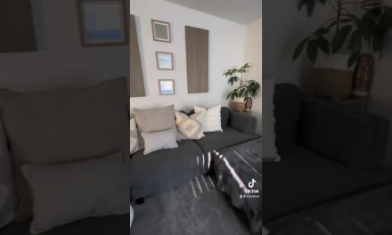 Burlington always has the best deals #burlingtonfinds #homedecor #apartment